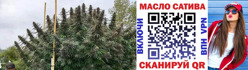 Дистиллят ТГК гашишное масло  мега зеркало  Чкаловск  закладка 