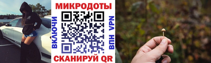 где купить наркоту  Чкаловск  Галлюциногенные грибы GOLDEN TEACHER 